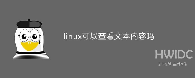 linux可以查看文本内容吗