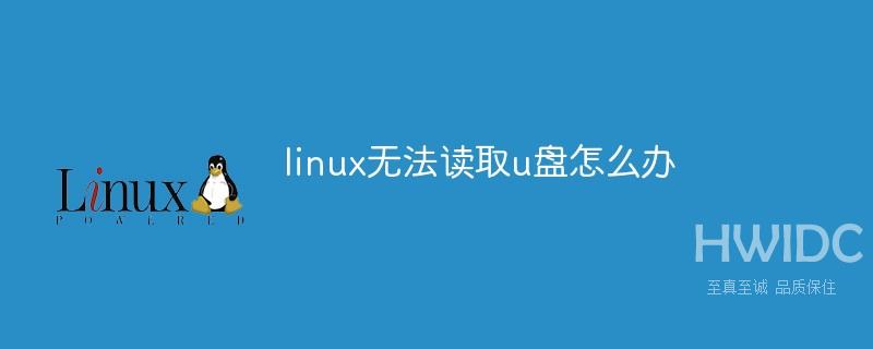 linux无法读取u盘怎么办