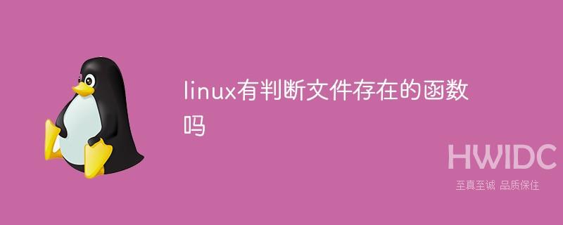 linux有判断文件存在的函数吗