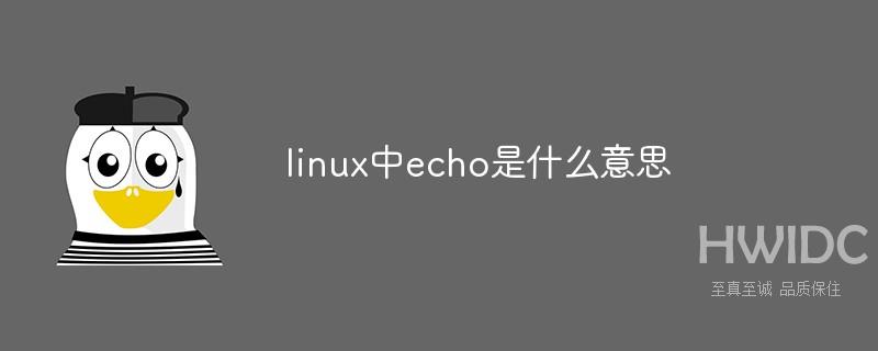 linux中echo是什么意思