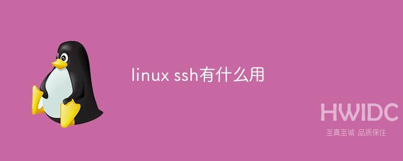 linux ssh有什么用