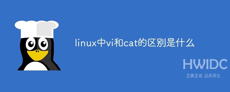 linux中vi和cat的区别是什么