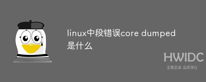 linux中段错误core dumped是什么