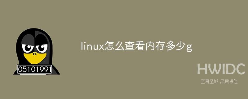 linux怎么查看内存多少g