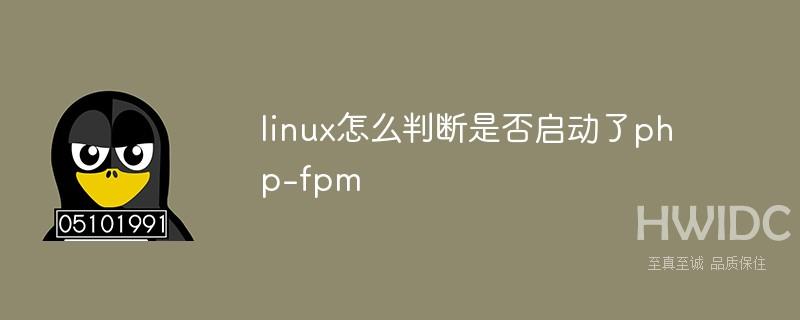 linux怎么判断是否启动了php-fpm