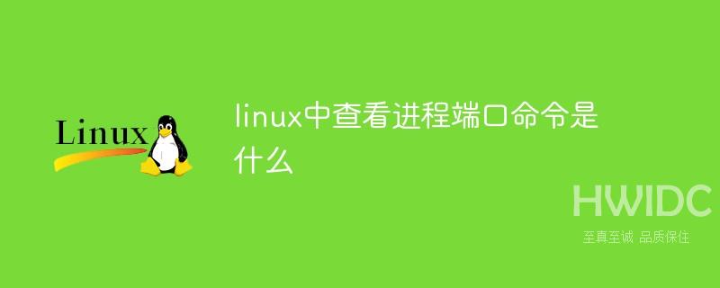 linux中查看进程端口命令是什么