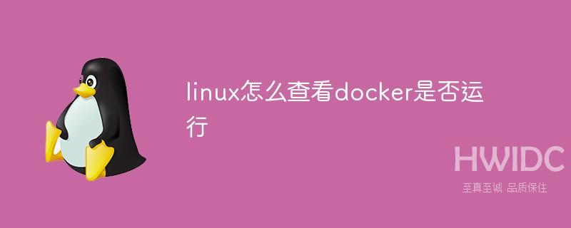 linux怎么查看docker是否运行