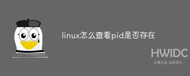 linux怎么查看pid是否存在