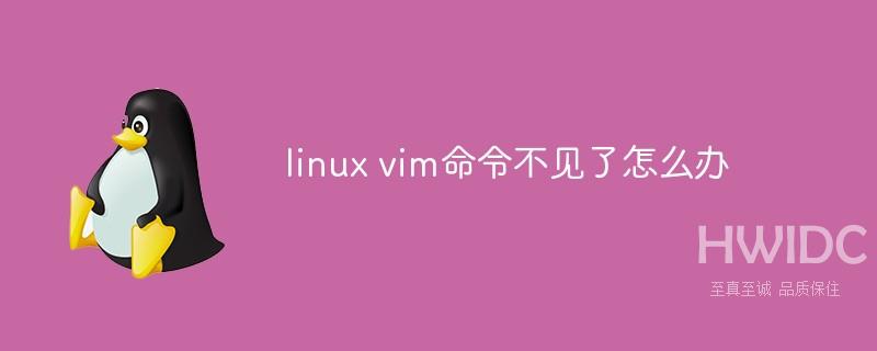 linux vim命令不见了怎么办