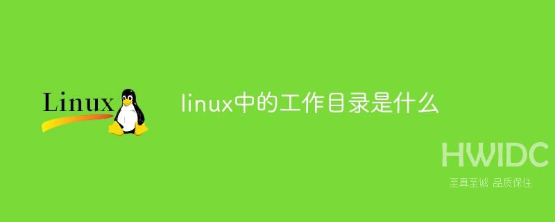 linux中的工作目录是什么