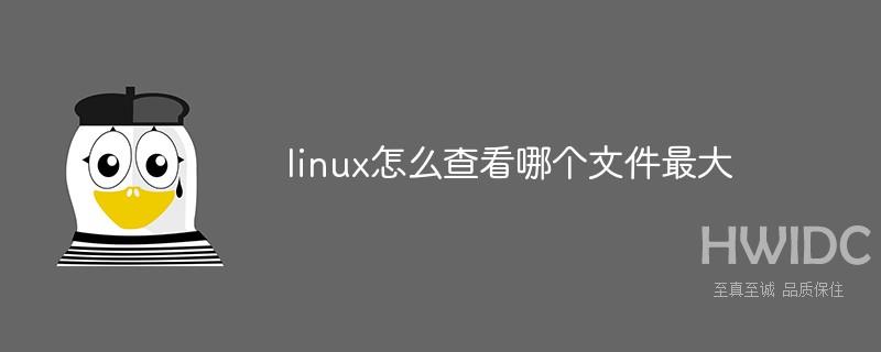 linux怎么查看哪个文件最大