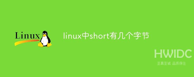 linux中short有几个字节