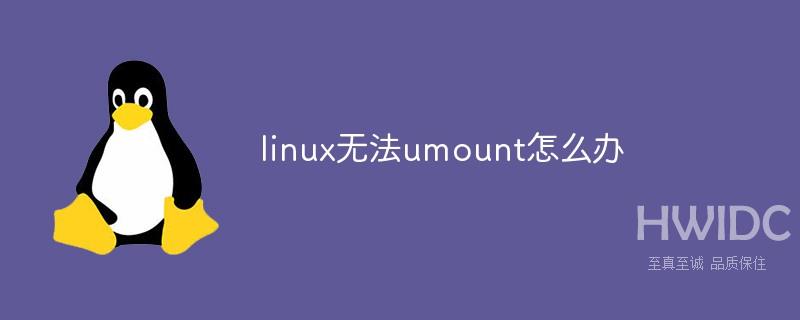 linux无法umount怎么办