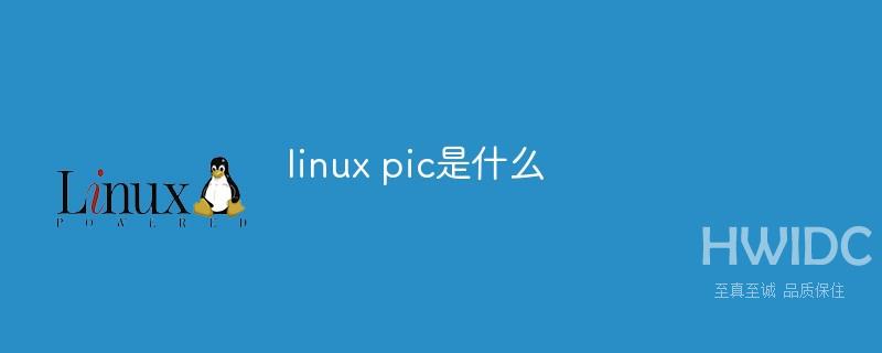 linux pic是什么