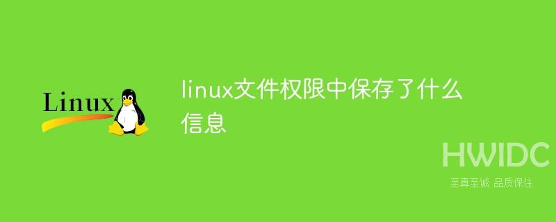 linux文件权限中保存了什么信息