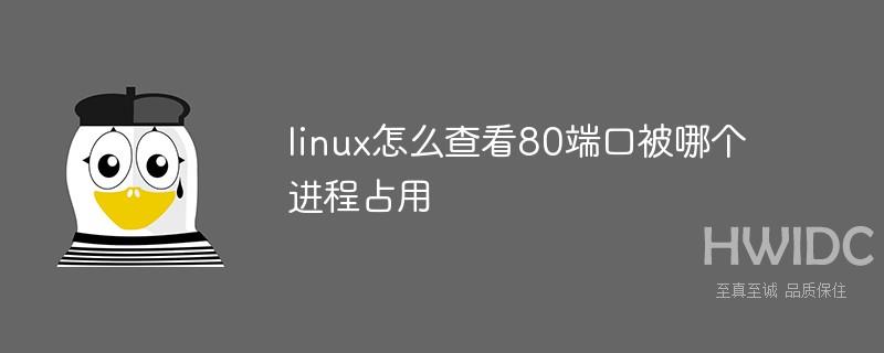 linux怎么查看80端口被哪个进程占用