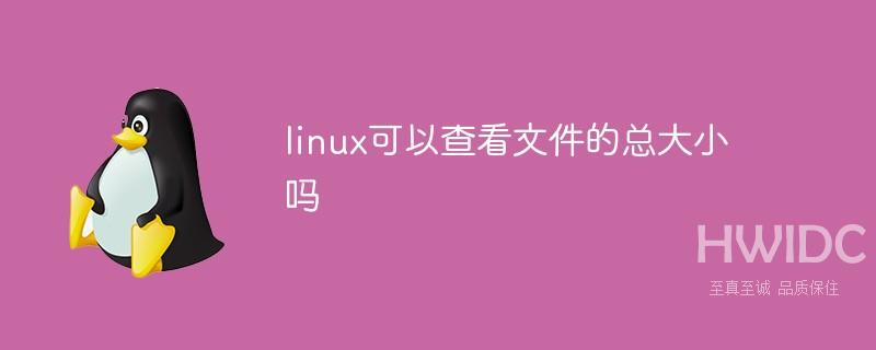 linux可以查看文件的总大小吗