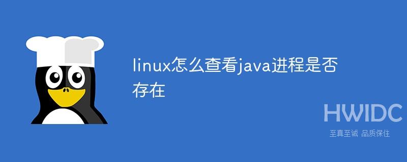 linux怎么查看java进程是否存在