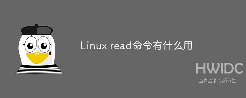 Linux read命令有什么用