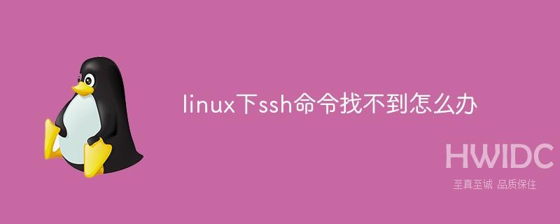 linux下ssh命令找不到怎么办