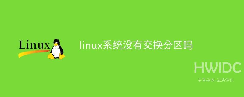 linux系统没有交换分区吗