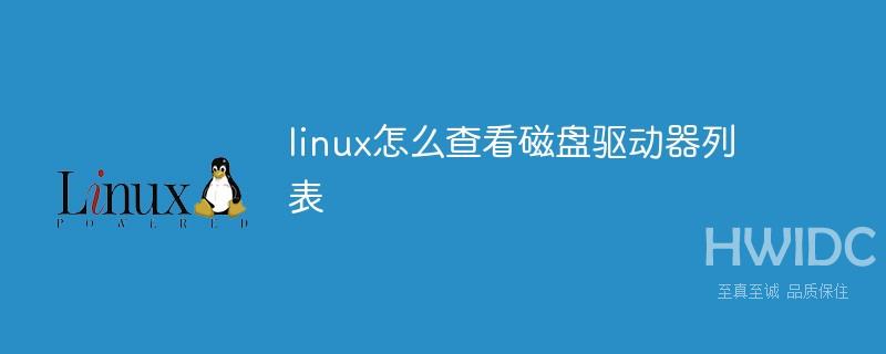 linux怎么查看磁盘驱动器列表