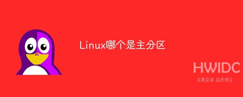 Linux哪个是主分区