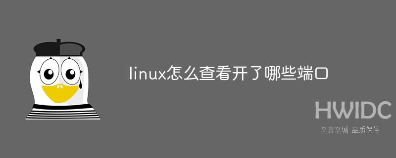 linux怎么查看开了哪些端口