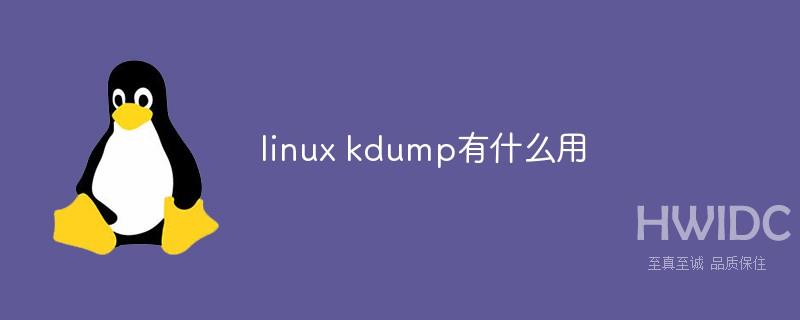 linux kdump有什么用