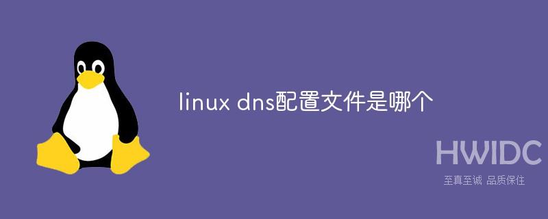 linux dns配置文件是哪个