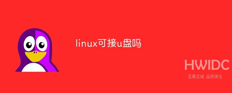 linux可接u盘吗