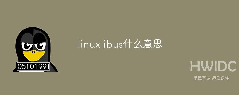 linux ibus什么意思