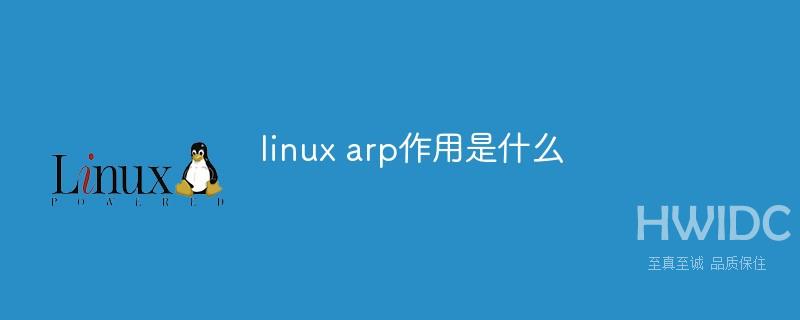 linux arp作用是什么