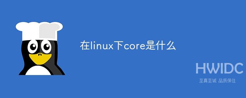 在linux下core是什么