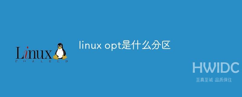 linux opt是什么分区