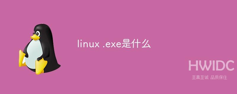 linux .exe是什么