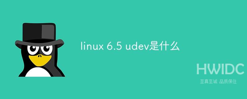 linux 6.5 udev是什么