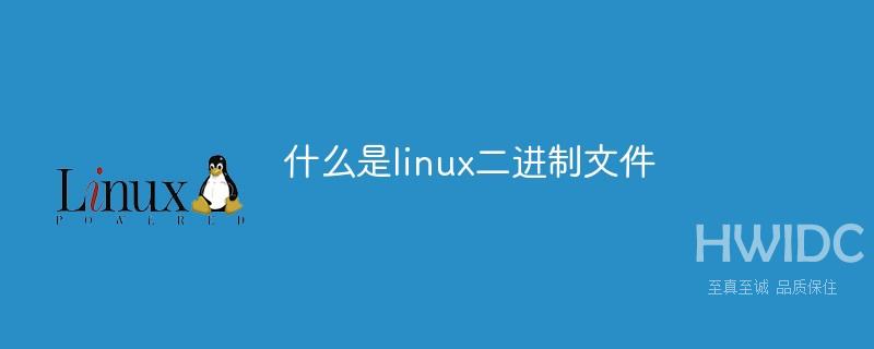 什么是linux二进制文件