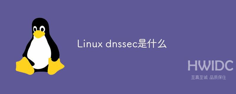 Linux dnssec是什么