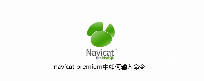 navicat premium中如何输入命令