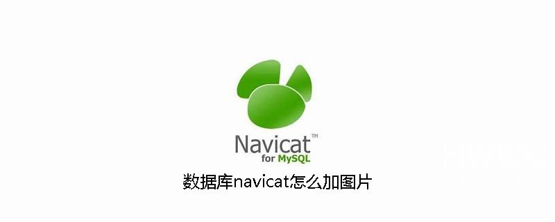 数据库navicat怎么加图片