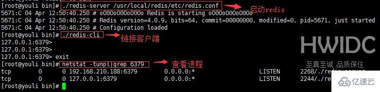 Linux系统怎么安装Redis