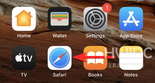 在 iPhone 和 iPad 上轻松查找 Safari 标签的 10 种方法