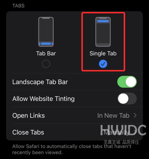 在 iPhone 和 iPad 上轻松查找 Safari 标签的 10 种方法