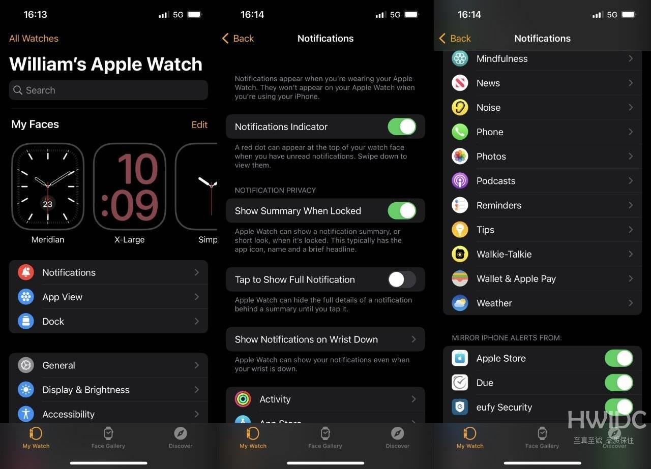 如何微调 Apple Watch 上的通知