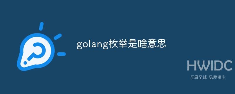 golang枚举是啥意思