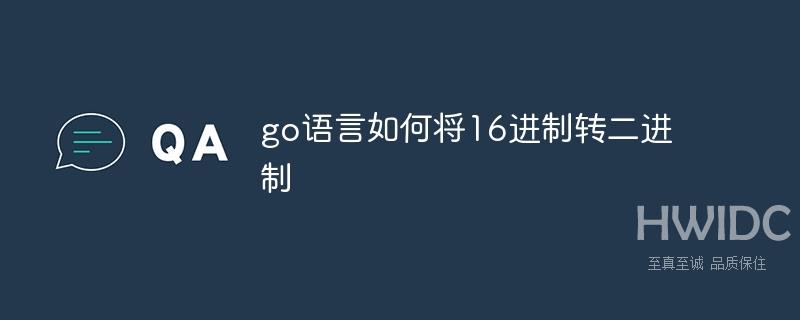 go语言如何将16进制转二进制