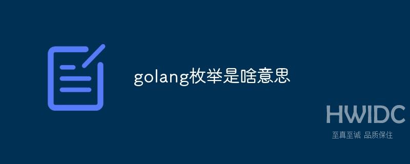 golang枚举是什么意思