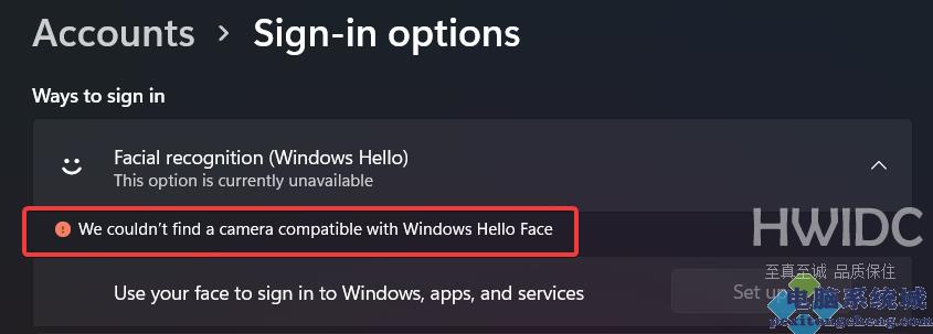 Win11面部识别设置不了怎么办