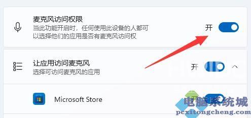 Win11麦克风没有声音怎么办？